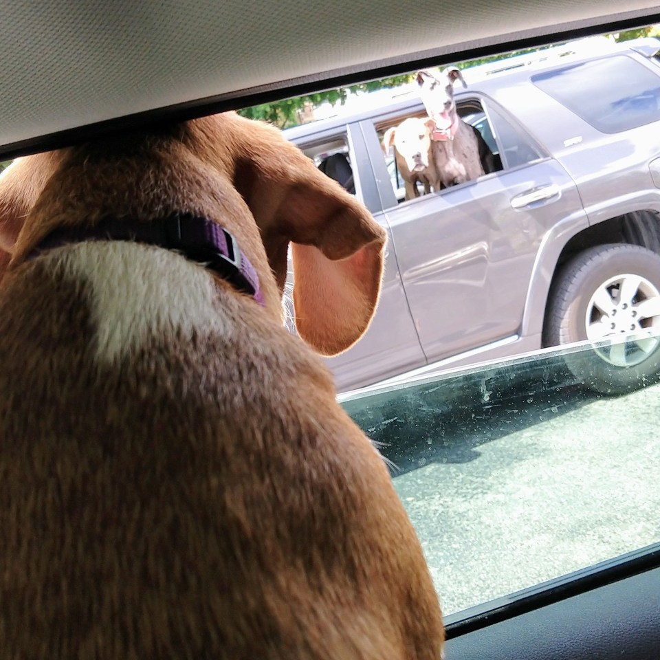 img_20180926_153125_381