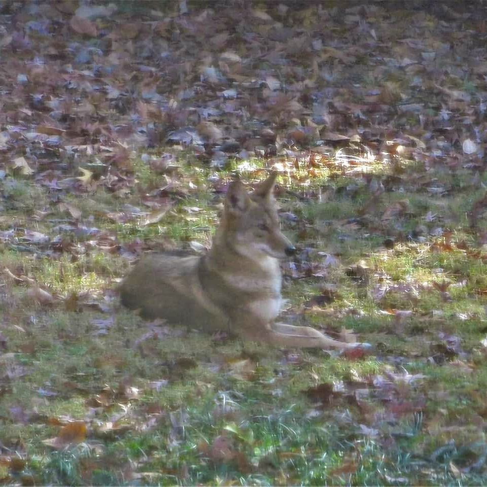 img_20181122_121413_469